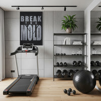 Break The Mold